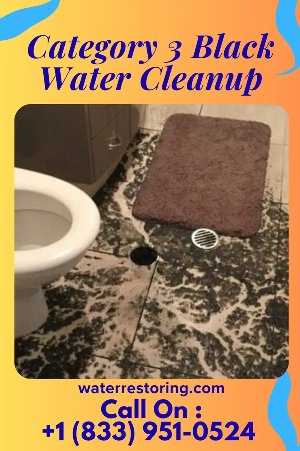 Category 3 Black Water Cleanup in Knowles, OK