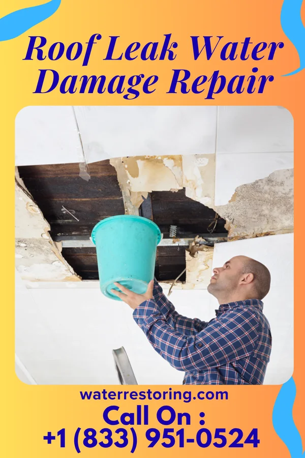 Roof Leak Water Damage Repair in Knowles, OK